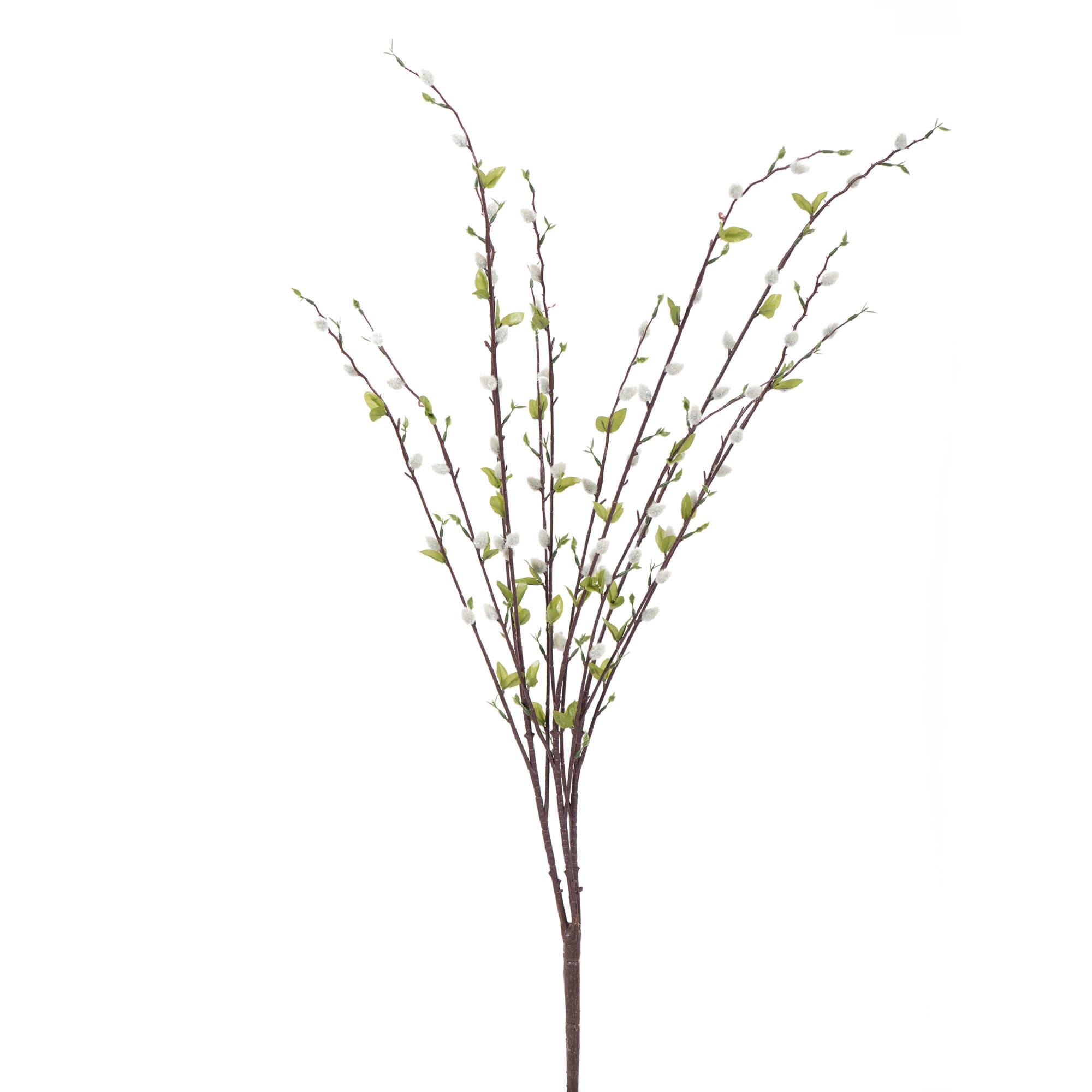 Gray Willow Bush
